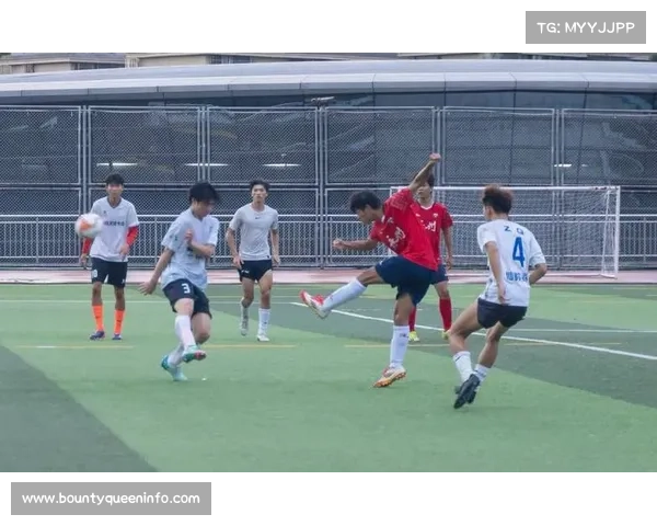 维罗纳主场草皮维护，雨战影响传球精度